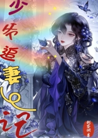 少爷追妻记(1V1)封面
