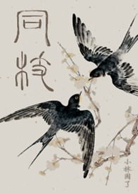 同枝(1v1史同兄妹真骨·嬴政x嬴婼)封面