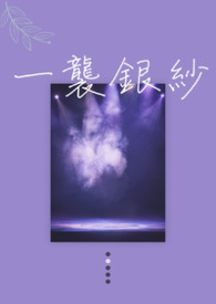一袭银纱封面