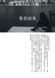 等你回来封面