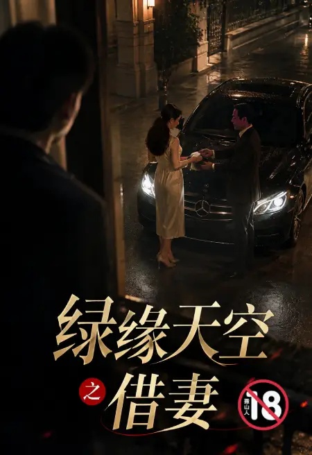 绿缘天空之借妻封面