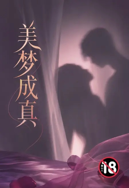美梦成真封面