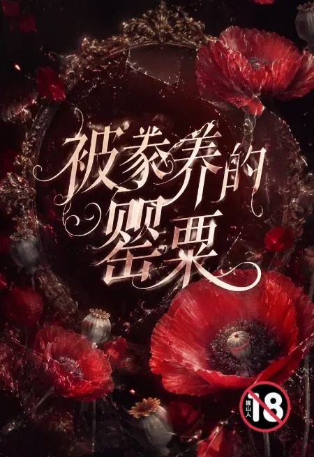 被豢养的罂粟封面