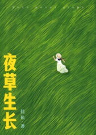 迷乱光阴录封面