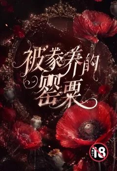 被豢养的罂粟封面