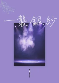 一袭银纱封面