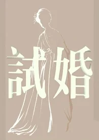 试婚封面