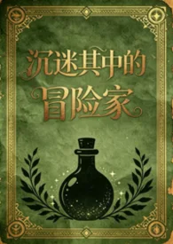 沉迷其中的冒险家（日式西幻，np）封面