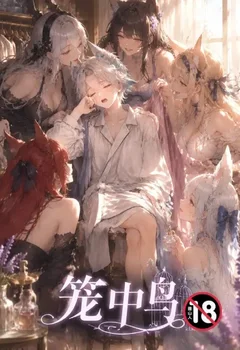 笼中鸟（明日方舟）封面