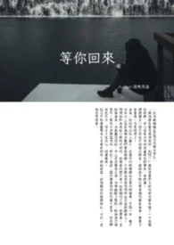等你回来封面