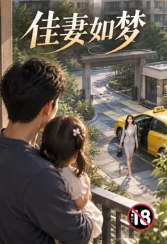 佳妻如梦封面