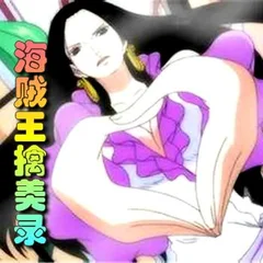 海贼王擒美录封面