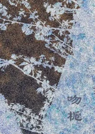 吻栀(校园h)封面