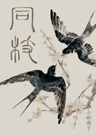同枝（1v1史同兄妹真骨·嬴政x嬴婼）封面