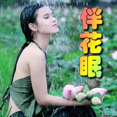 伴花眠封面
