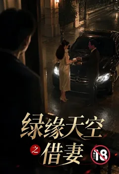 绿缘天空之借妻封面