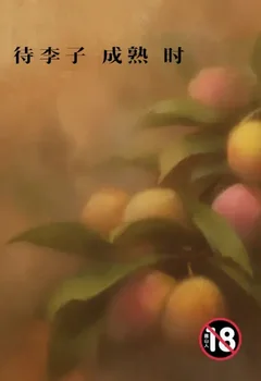 待李子成熟时封面